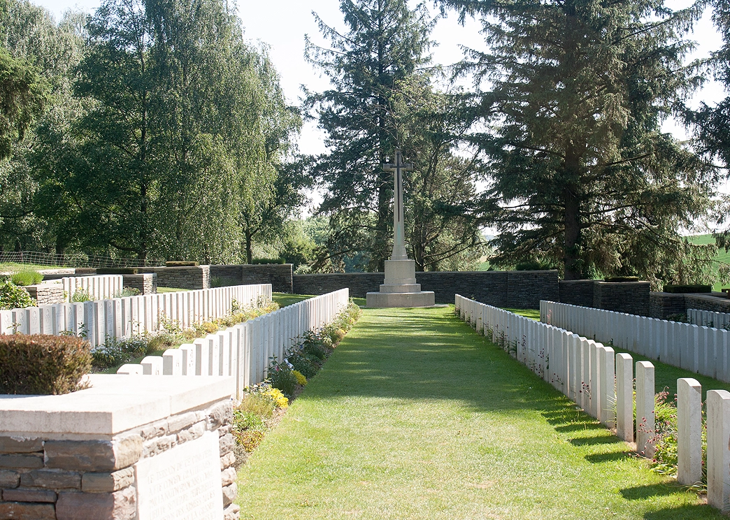 Newfoundland_Park.webp