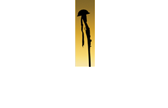 Mercat Tours International Ltd