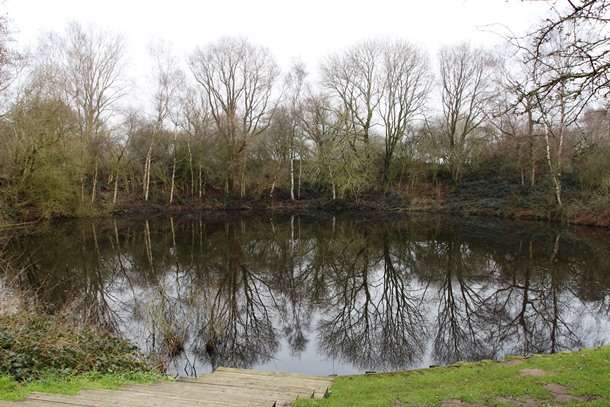 Pool of Peace, Heuvelland, Belgium